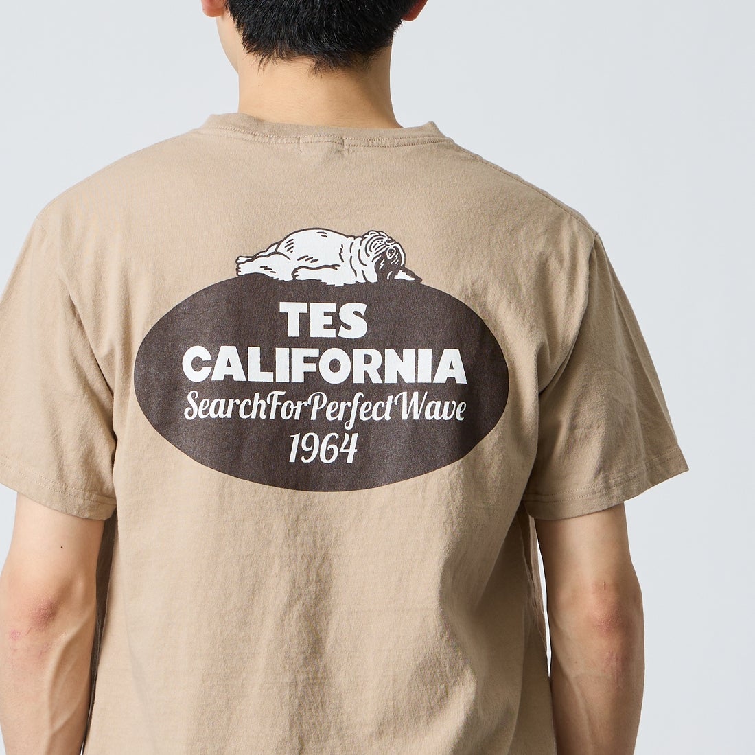 The Endless Summer [エンドレスサマー] 別注 オーバルロゴ バックプリントTシャツ [FH-26574504-JF] BEIGE &&モデル身長：168cm 着用サイズ：M&&