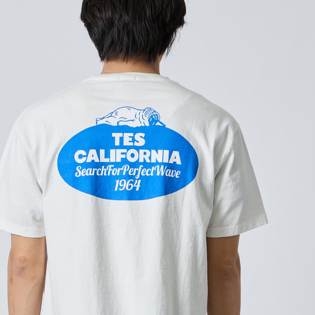 The Endless Summer [エンドレスサマー] 別注 オーバルロゴ バックプリントTシャツ [FH-26574504-JF] WHITE &&モデル身長：179cm 着用サイズ：XL&&