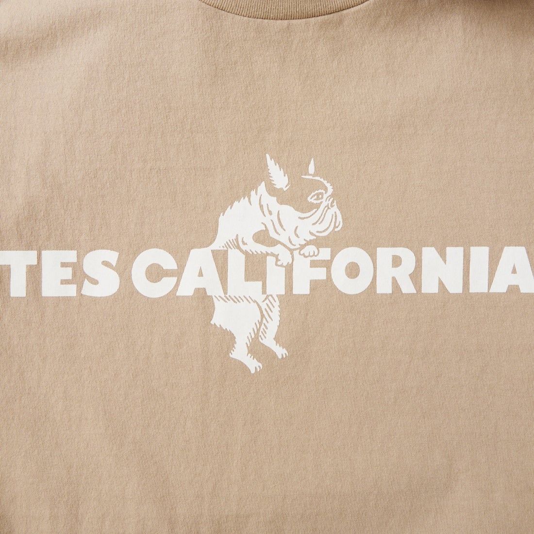 The Endless Summer [エンドレスサマー] 別注 TES CAL フロッキーロゴプリントTシャツ [FH-26574501-JF] BEIGE
