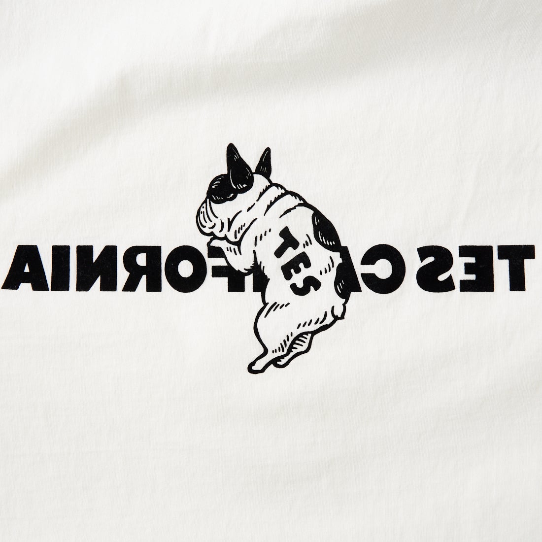 The Endless Summer [エンドレスサマー] 別注 TES CAL フロッキーロゴプリントTシャツ [FH-26574501-JF] WHITE