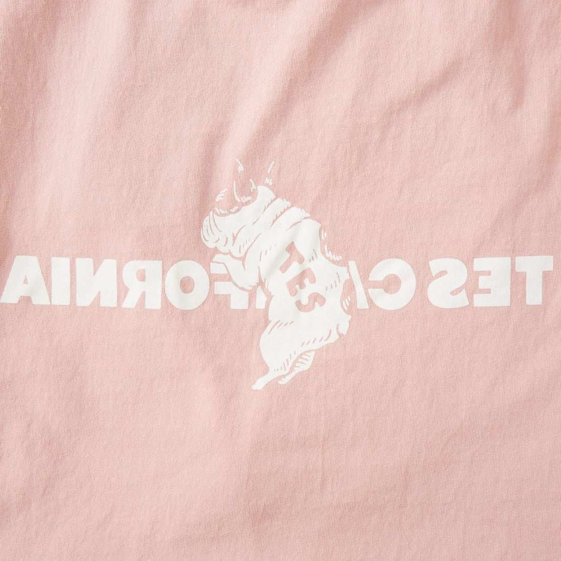 The Endless Summer [エンドレスサマー] 別注 TES CAL フロッキーロゴプリントTシャツ [FH-26574501-JF] PINK