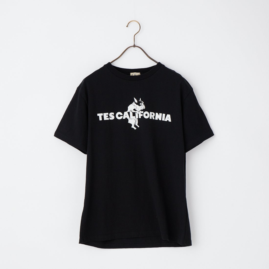 The Endless Summer [エンドレスサマー] 別注 TES CAL フロッキーロゴプリントTシャツ [FH-26574501-JF] BLACK