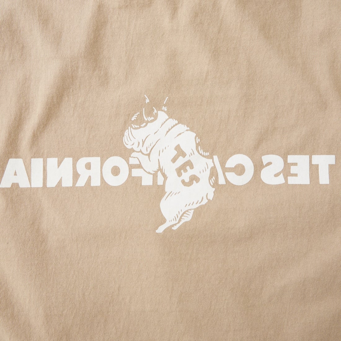 The Endless Summer [エンドレスサマー] 別注 TES CAL フロッキーロゴプリントTシャツ [FH-26574501-JF] BEIGE