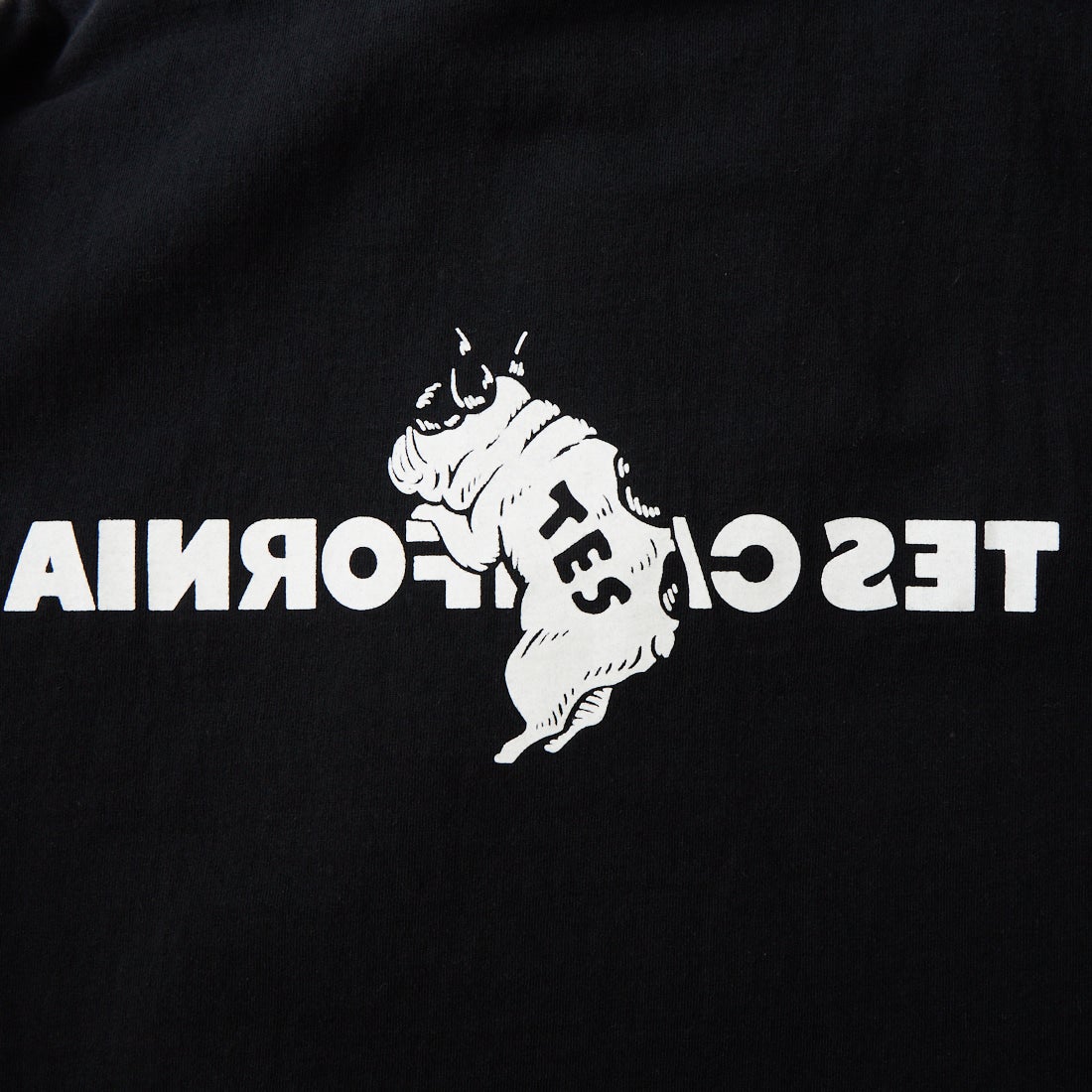 The Endless Summer [エンドレスサマー] 別注 TES CAL フロッキーロゴプリントTシャツ [FH-26574501-JF] BLACK