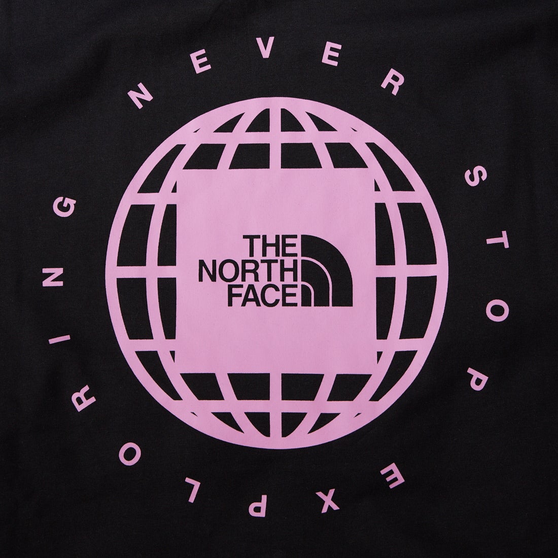 THE NORTH FACE [ザ ノースフェイス] ショートスリーブジオスクエアロゴTシャツ [NT32633] KC