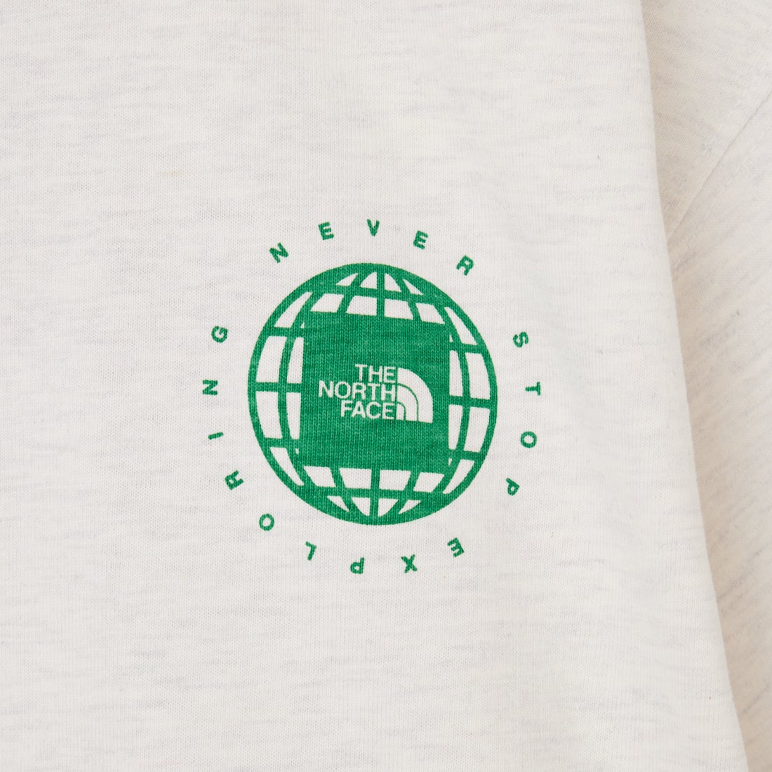 THE NORTH FACE [ザ ノースフェイス] ショートスリーブジオスクエアロゴTシャツ [NT32633] WT