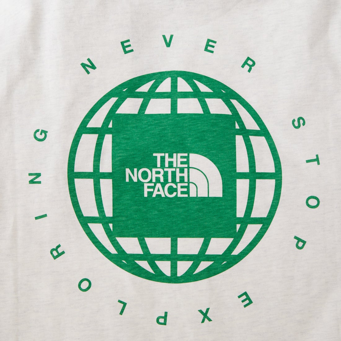THE NORTH FACE [ザ ノースフェイス] ショートスリーブジオスクエアロゴTシャツ [NT32633] WT