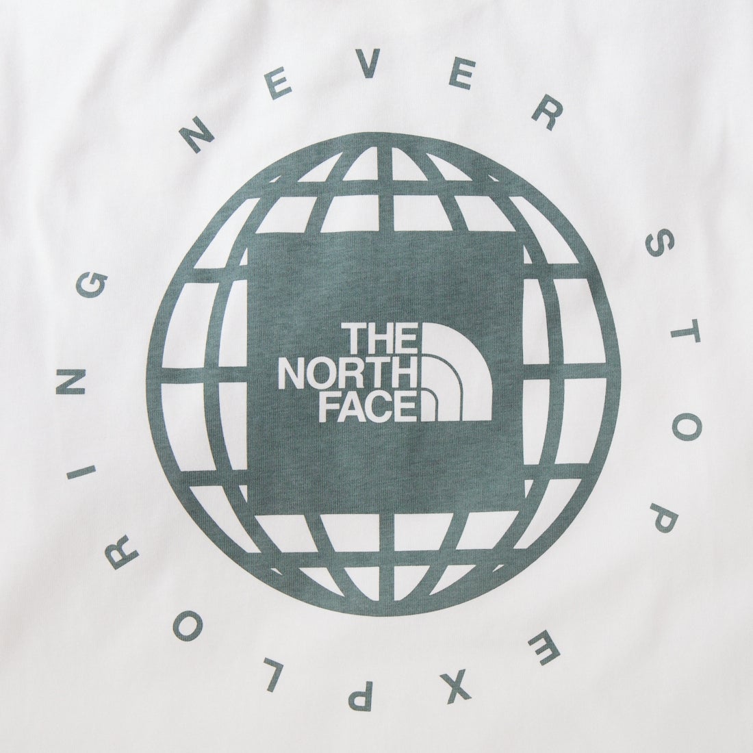 THE NORTH FACE [ザ ノースフェイス] ショートスリーブジオスクエアロゴTシャツ [NT32633] W