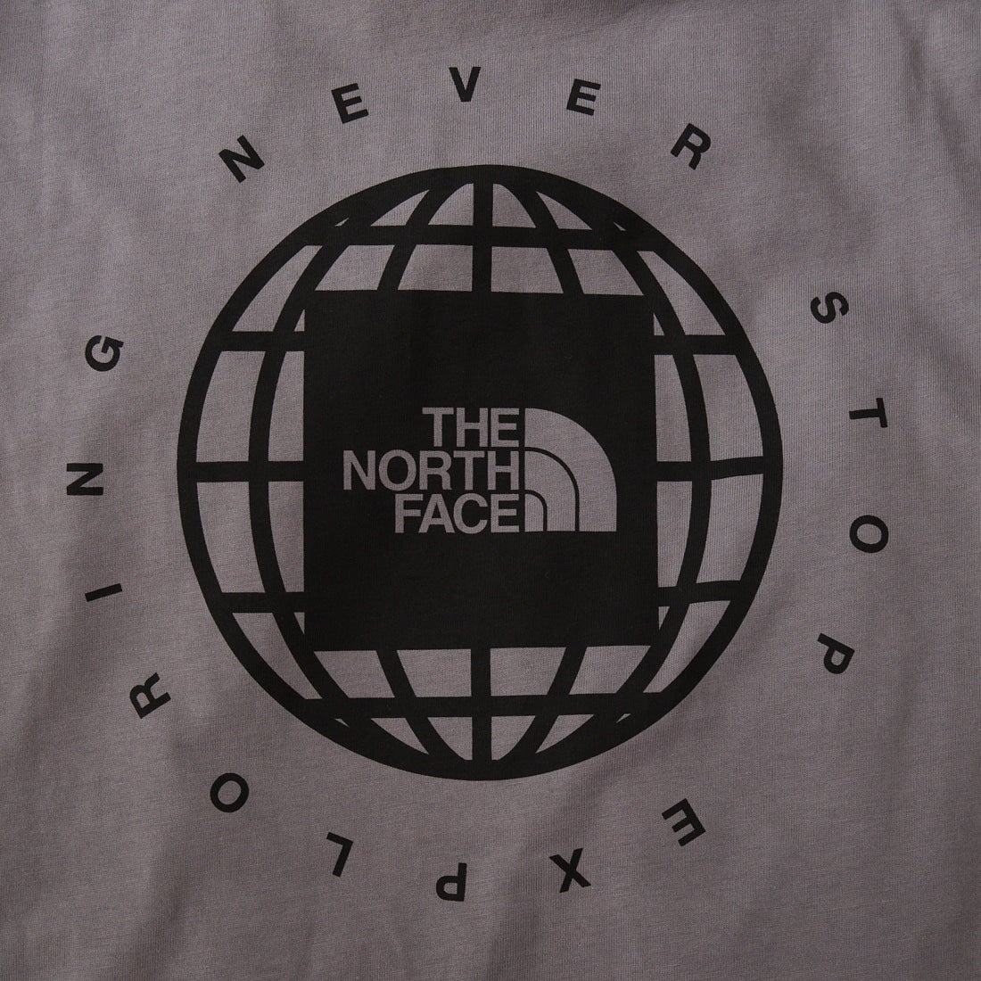 THE NORTH FACE [ザ ノースフェイス] ショートスリーブジオスクエアロゴTシャツ [NT32633] SP