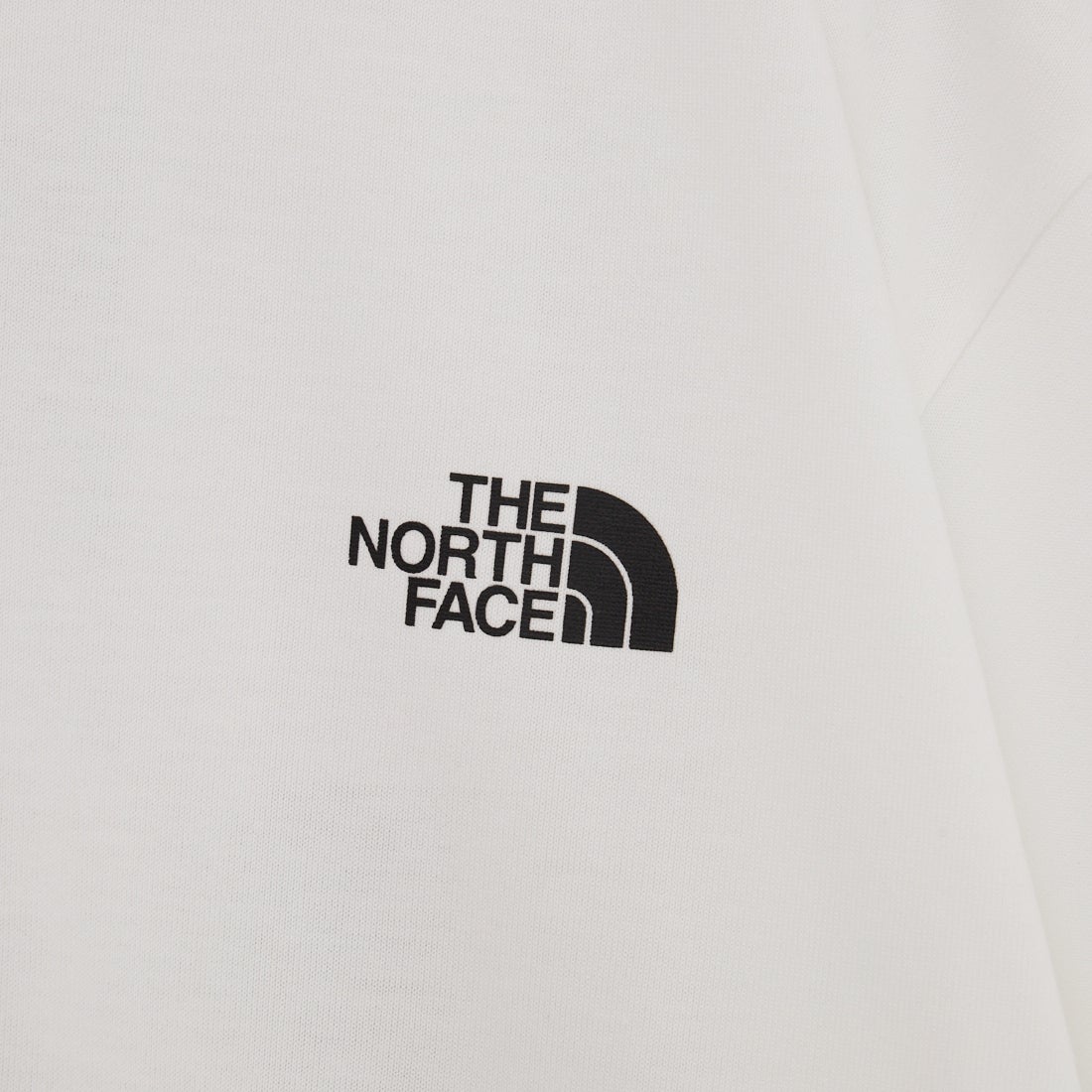 THE NORTH FACE [ザ ノースフェイス] ショートスリーブバンダナスクエアロゴTシャツ [NT32446] W2
