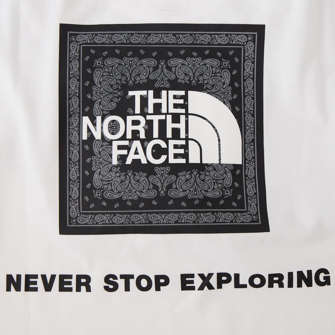 THE NORTH FACE [ザ ノースフェイス] ショートスリーブバンダナスクエアロゴTシャツ [NT32446] W2