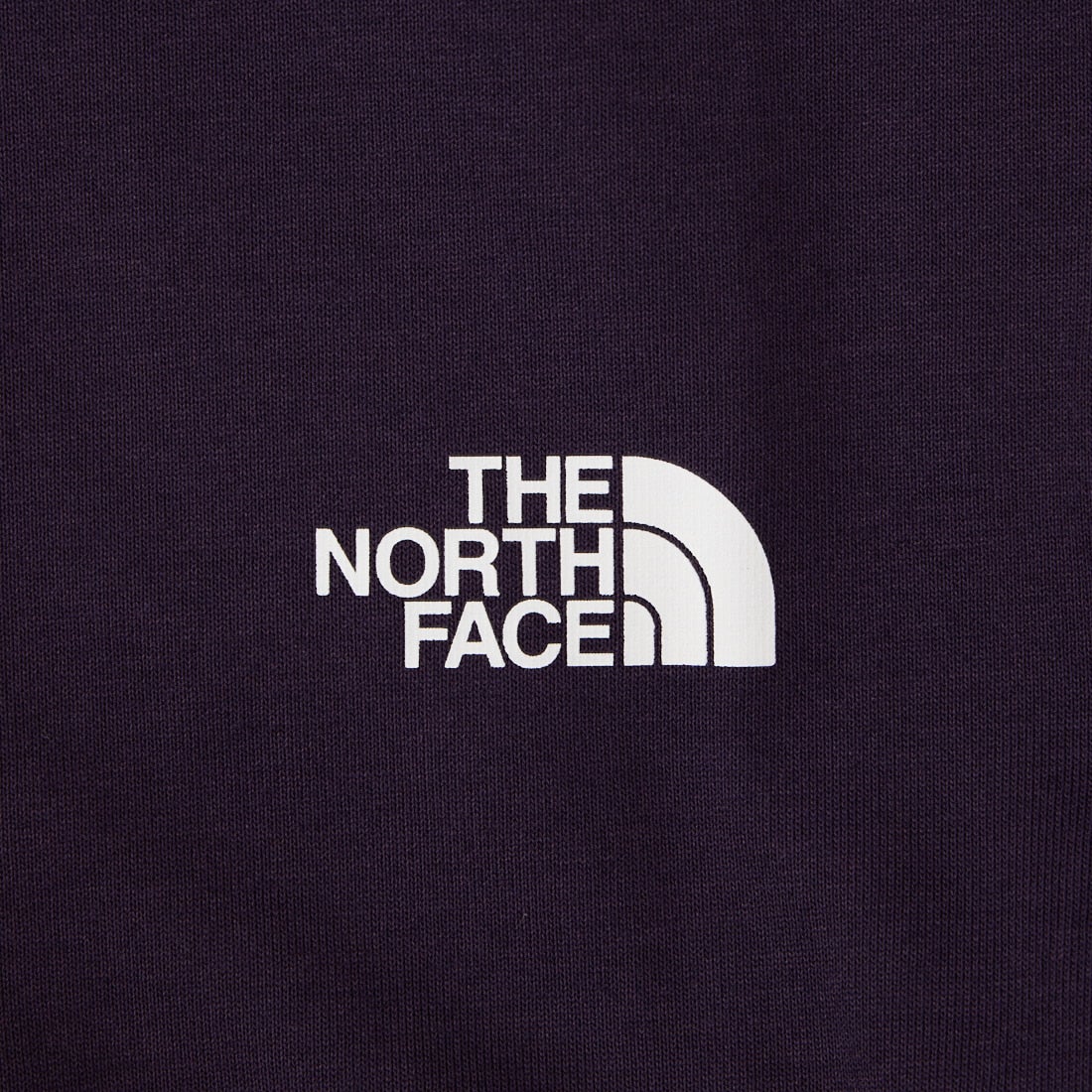 THE NORTH FACE [ザ ノースフェイス] ショートスリーブバンダナスクエアロゴTシャツ [NT32446] ED