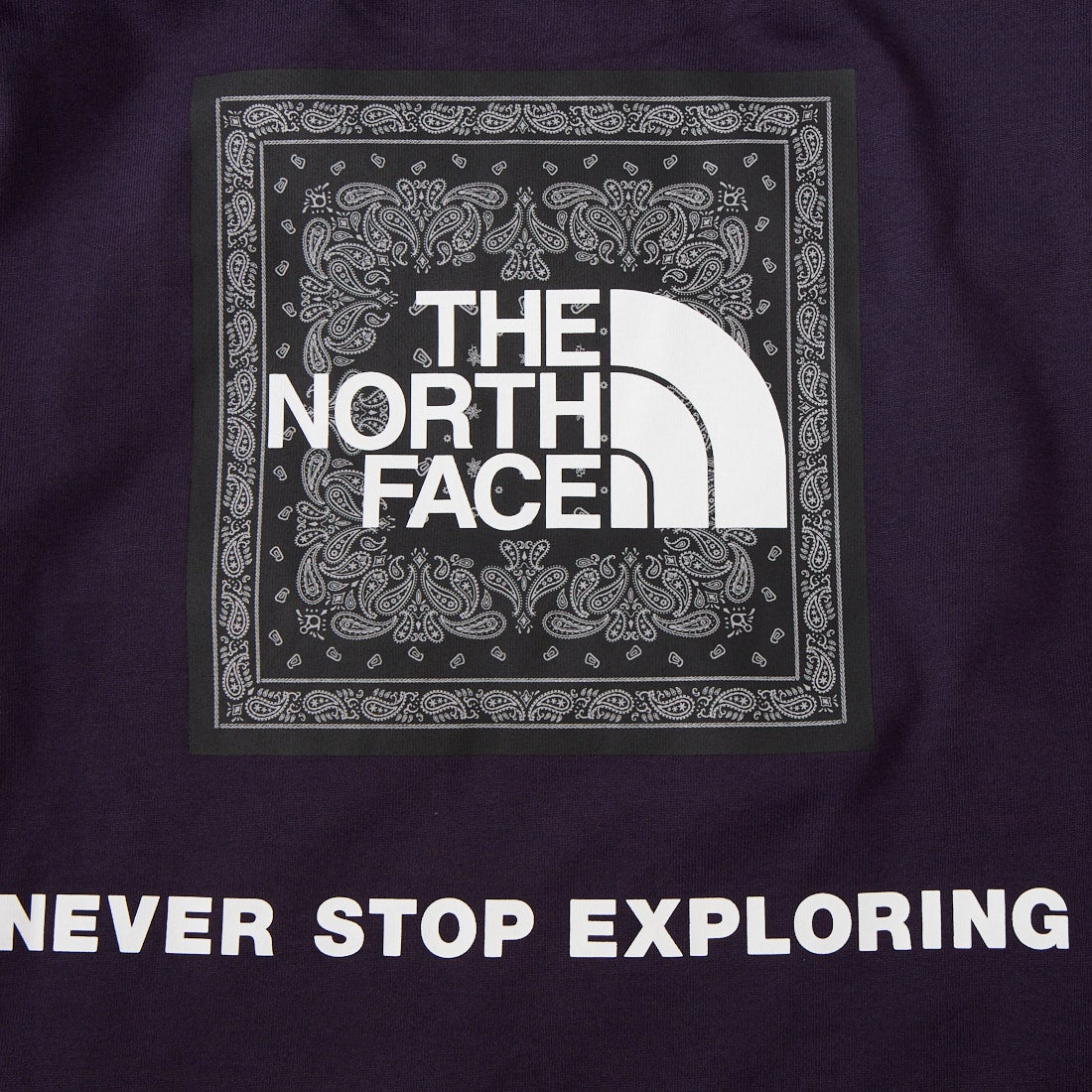 THE NORTH FACE [ザ ノースフェイス] ショートスリーブバンダナスクエアロゴTシャツ [NT32446] ED