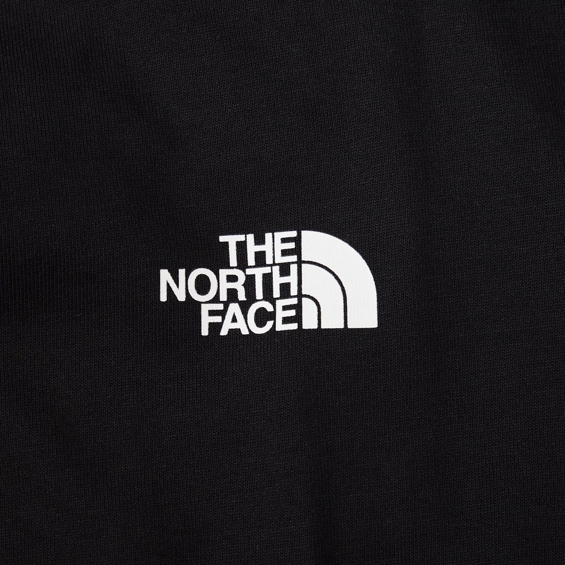 THE NORTH FACE [ザ ノースフェイス] ショートスリーブバンダナスクエアロゴTシャツ [NT32446] K2