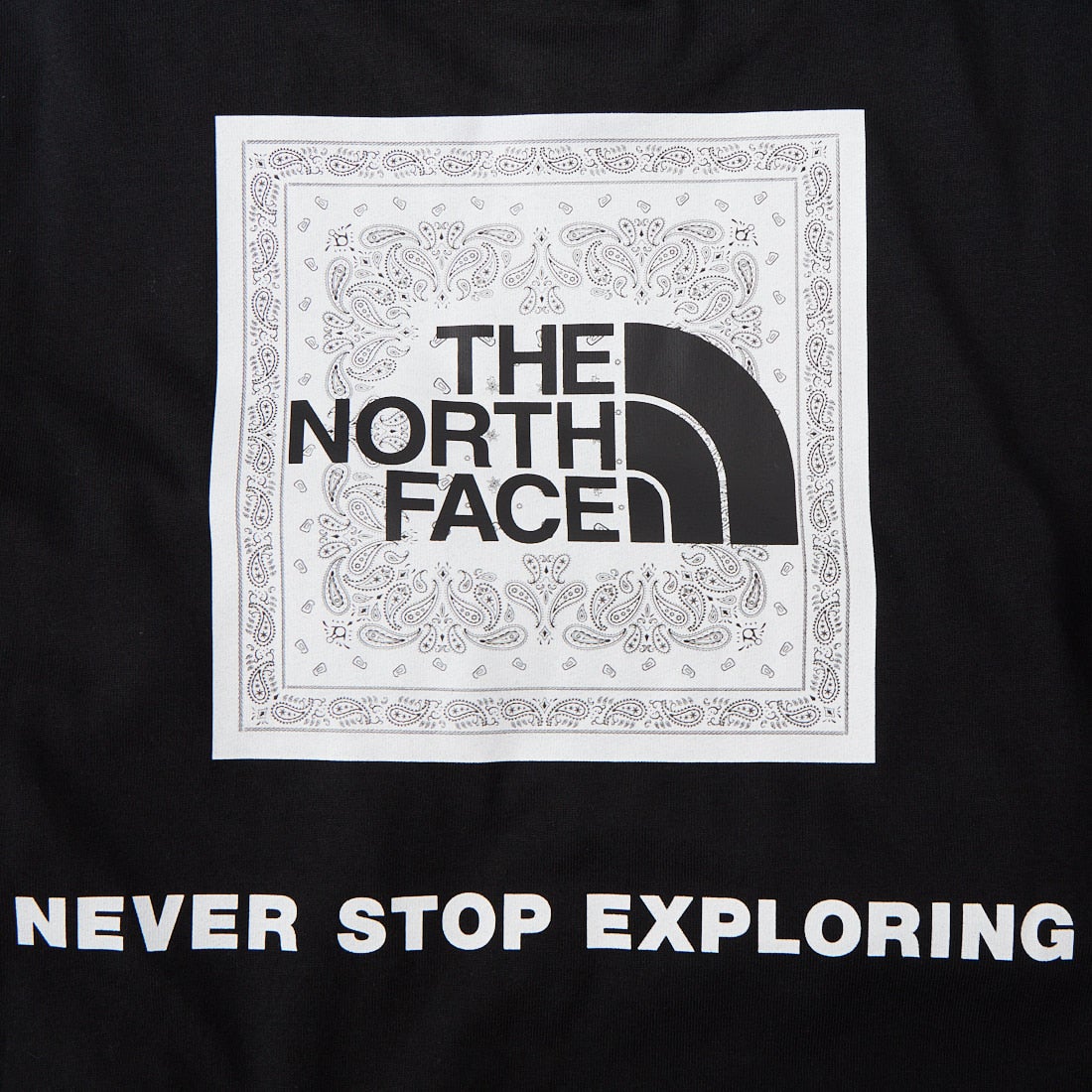 THE NORTH FACE [ザ ノースフェイス] ショートスリーブバンダナスクエアロゴTシャツ [NT32446] K2