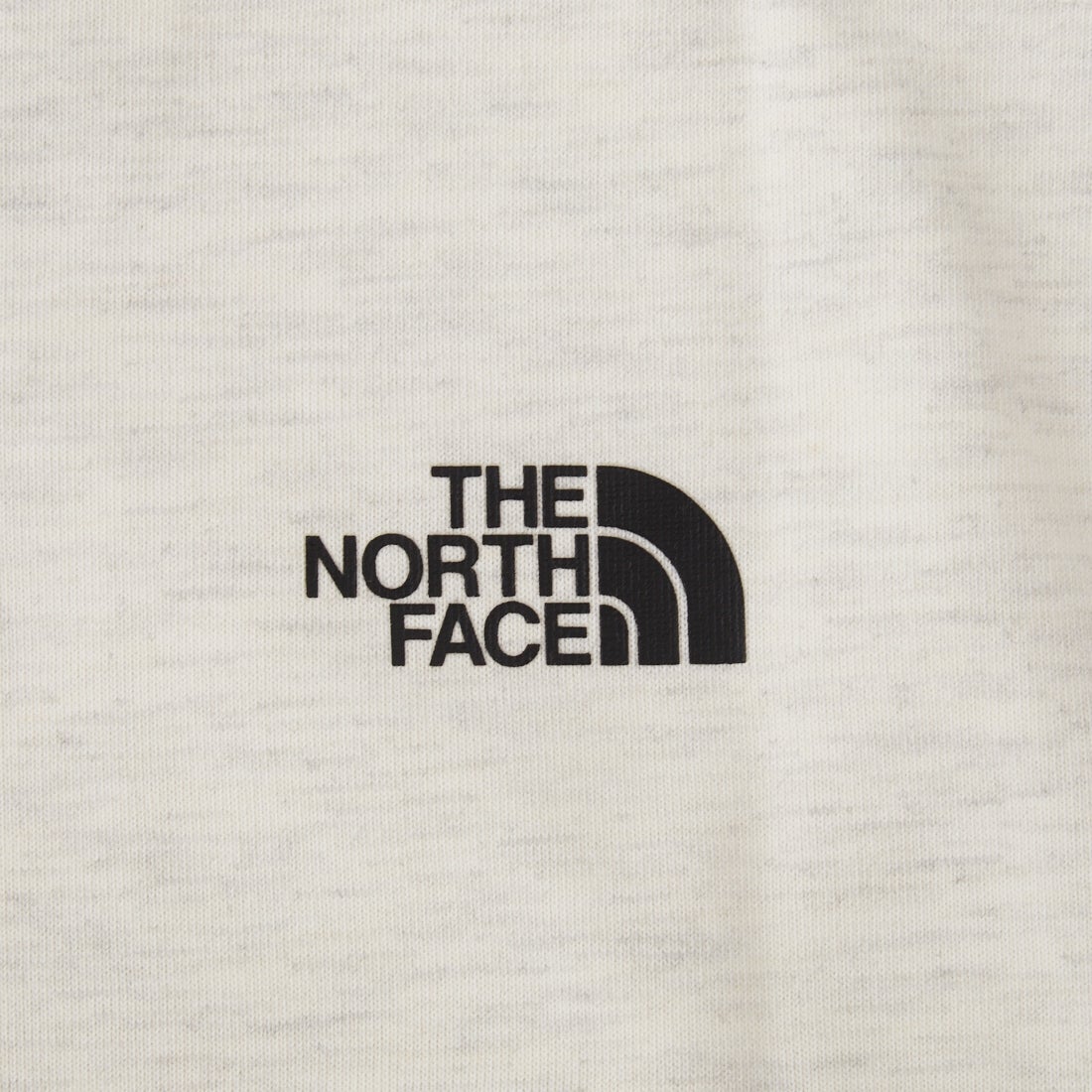 THE NORTH FACE [ザ ノースフェイス] ショートスリーブスクエアロゴポケットTシャツ [NT82541] WX