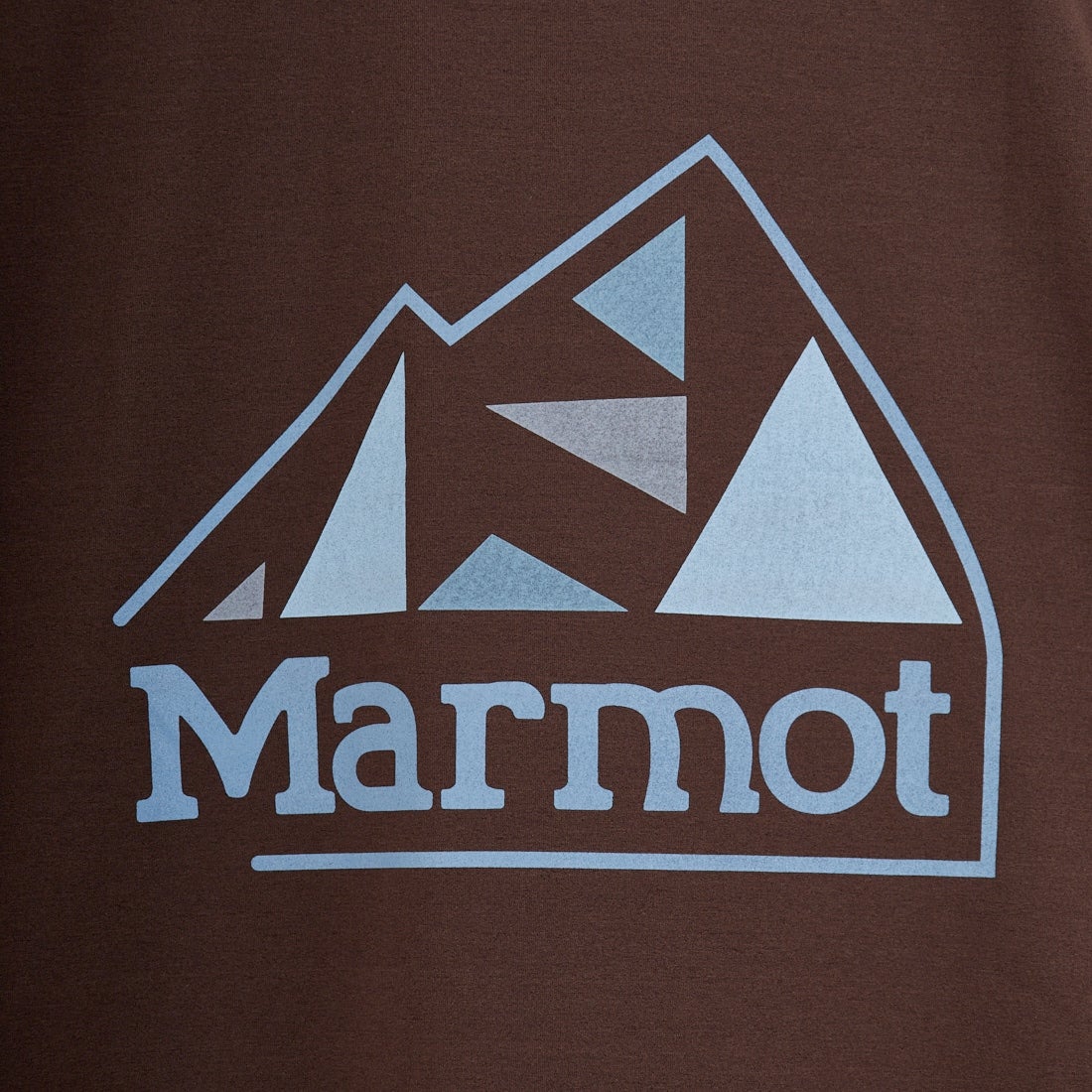 Marmot [マーモット] 別注 ドローコード付き マウンテンロゴ バックプリントTシャツ [MTSS26MST337IN-JF] D.BROWN