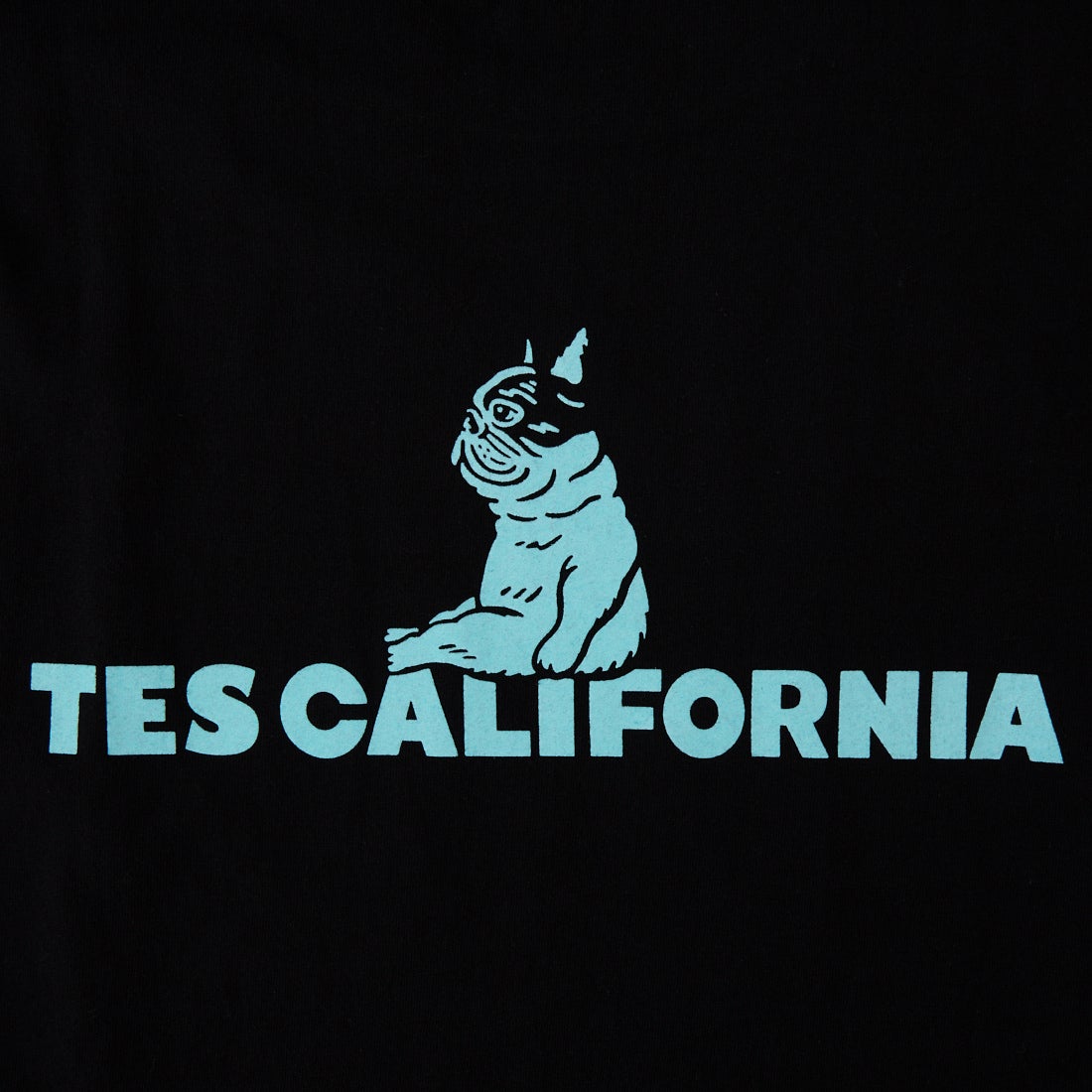 The Endless Summer [エンドレスサマー] SAME OLD ショートスリーブTシャツ [FH-26574319] 01 BLACK