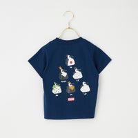 N001 NAVY