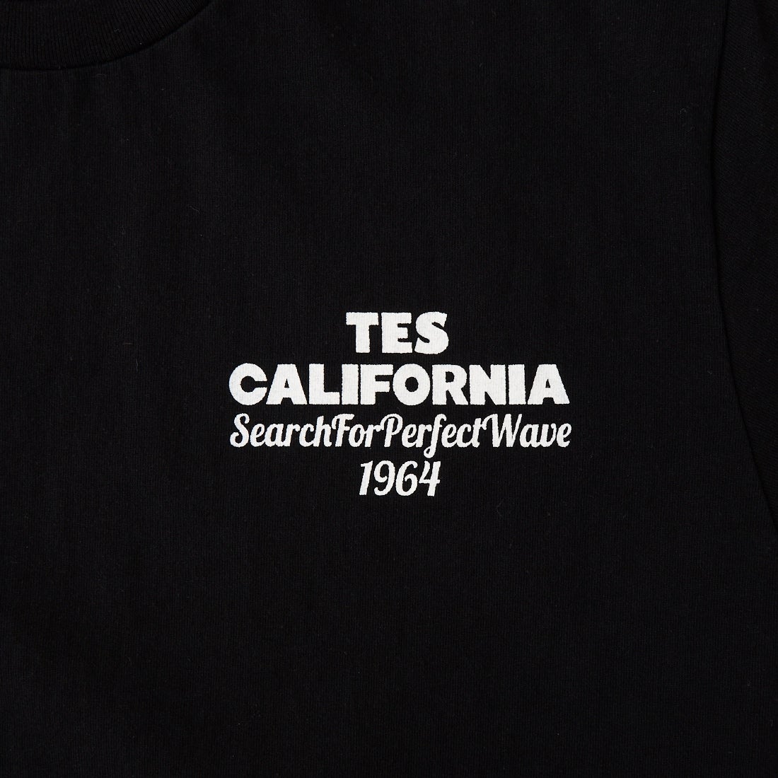 The Endless Summer [エンドレスサマー] 別注 バックロゴプリントTシャツ [FH-26574505-JF] BLACK