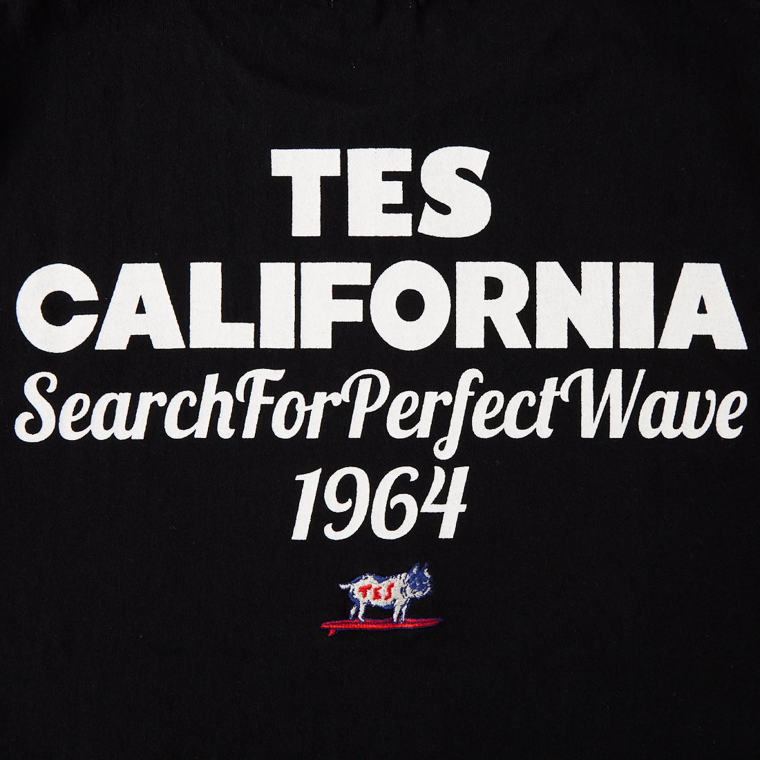 The Endless Summer [エンドレスサマー] 別注 バックロゴプリントTシャツ [FH-26574505-JF] BLACK