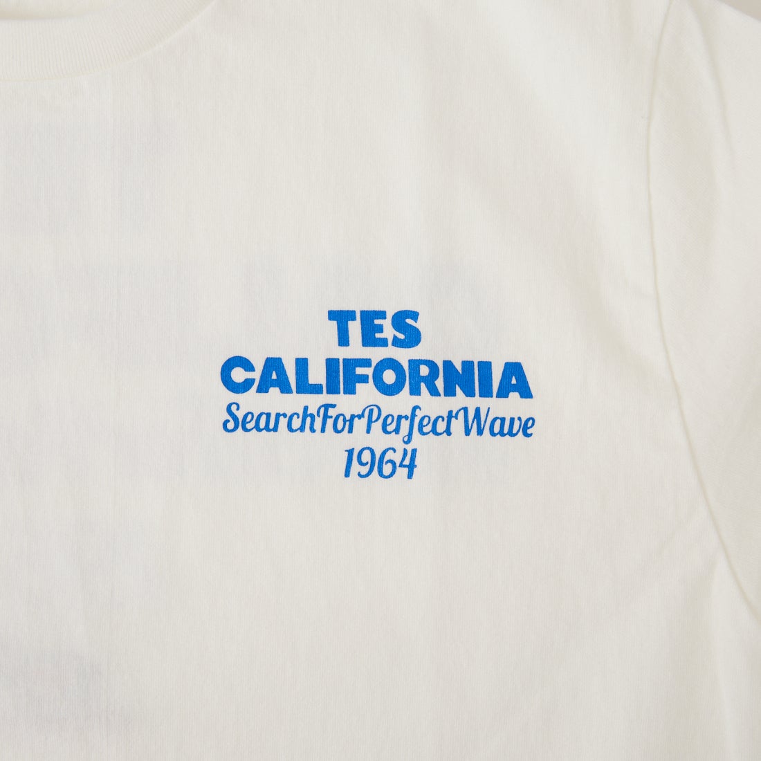 The Endless Summer [エンドレスサマー] 別注 バックロゴプリントTシャツ [FH-26574505-JF] WHITE