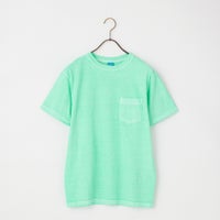 P-MINT