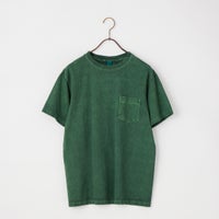 P-DK.GREEN