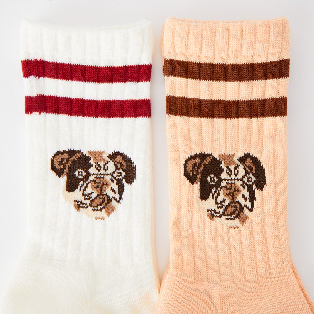 ROSTER SOX [ロスターソックス] DOG ソックス [RS-489]｜ジーンズ