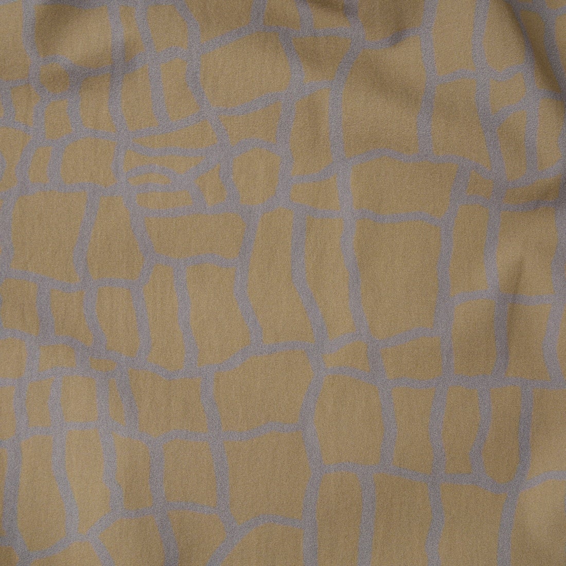 WILD THINGS [ワイルドシングス] エラスティックナイロン プリントラックスパンツ [WT26038AD] SPIDER BEG