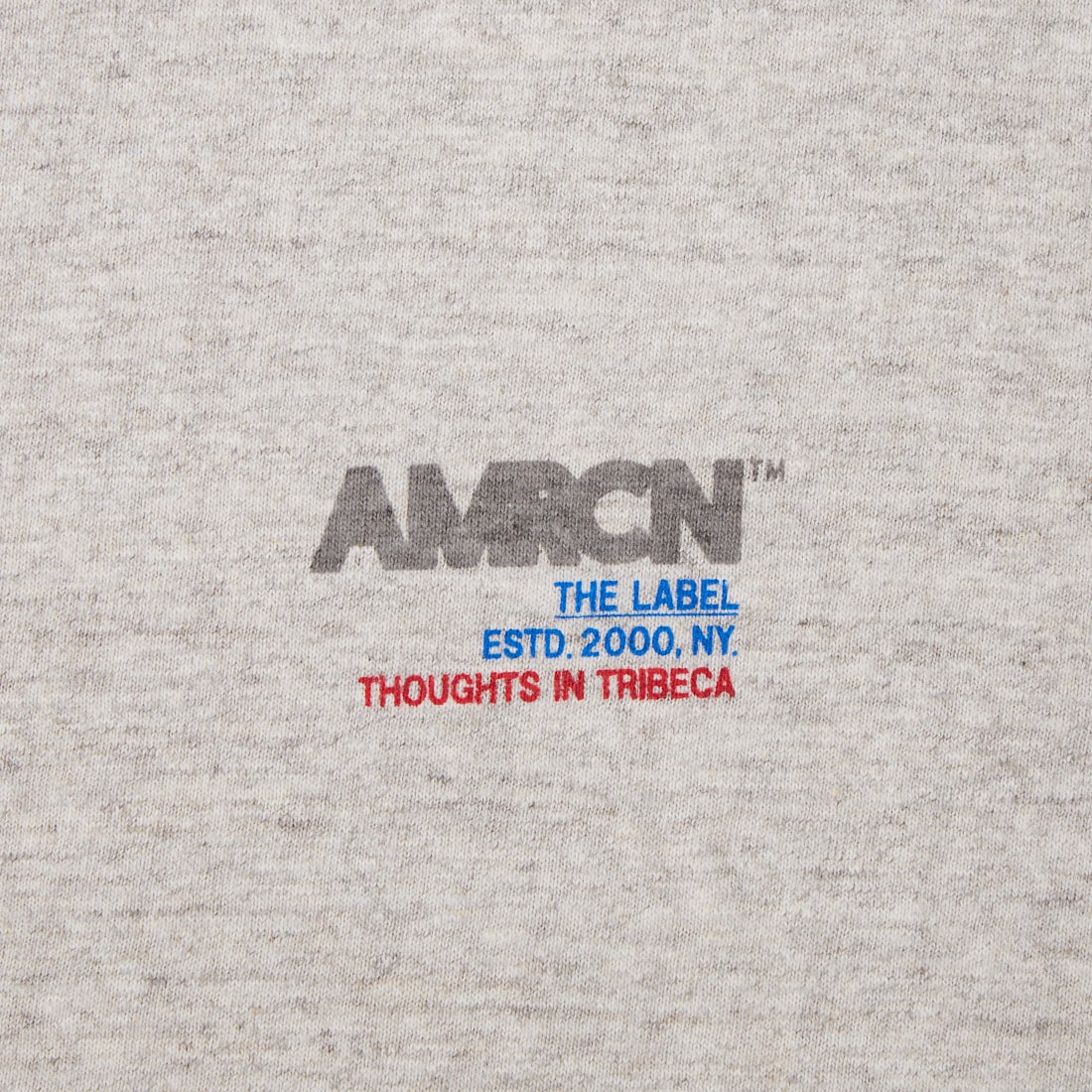 Americana [アメリカーナ] AMERCN バックプリントTシャツ [BRF-808A-2] ﾓｸｸﾞﾚｰ