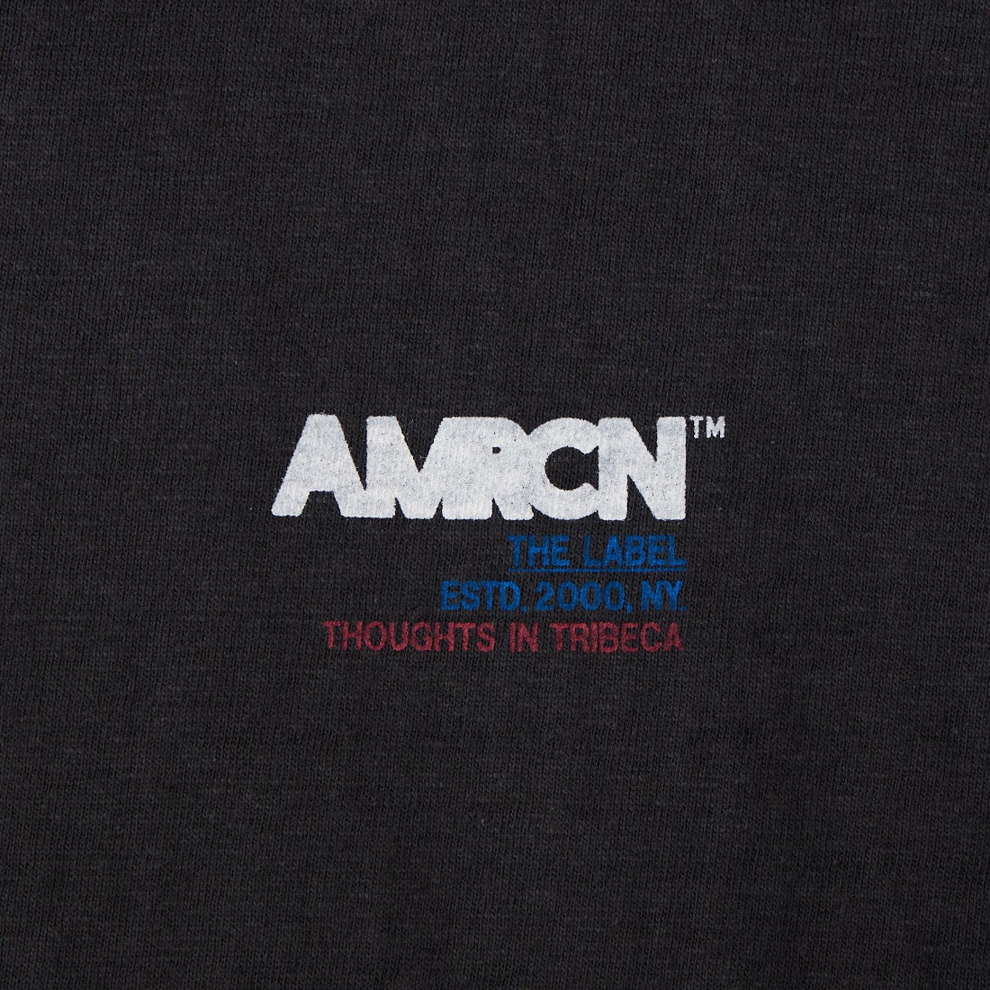 Americana [アメリカーナ] AMERCN バックプリントTシャツ [BRF-808A-2] ｽﾐｸﾛ