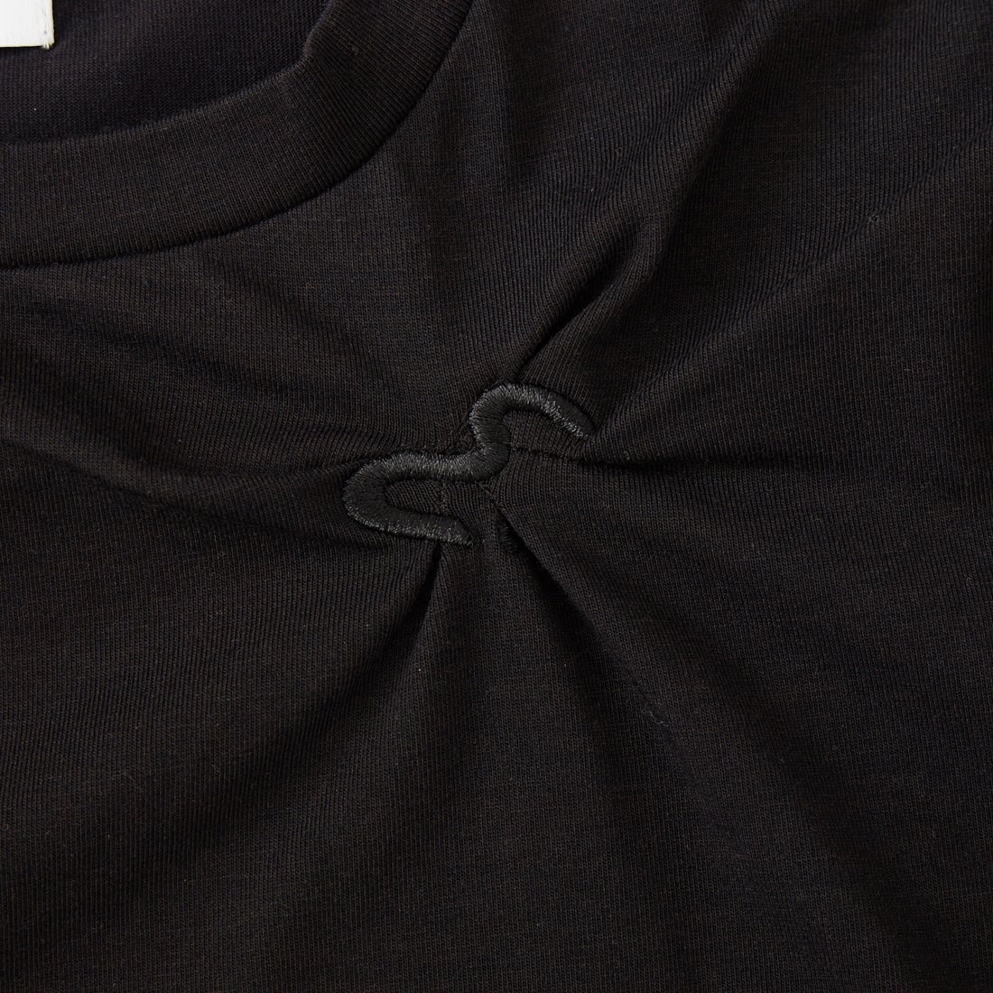 emmi [エミ] emmiロゴ クロップドTシャツ [13WCT261072] BLK