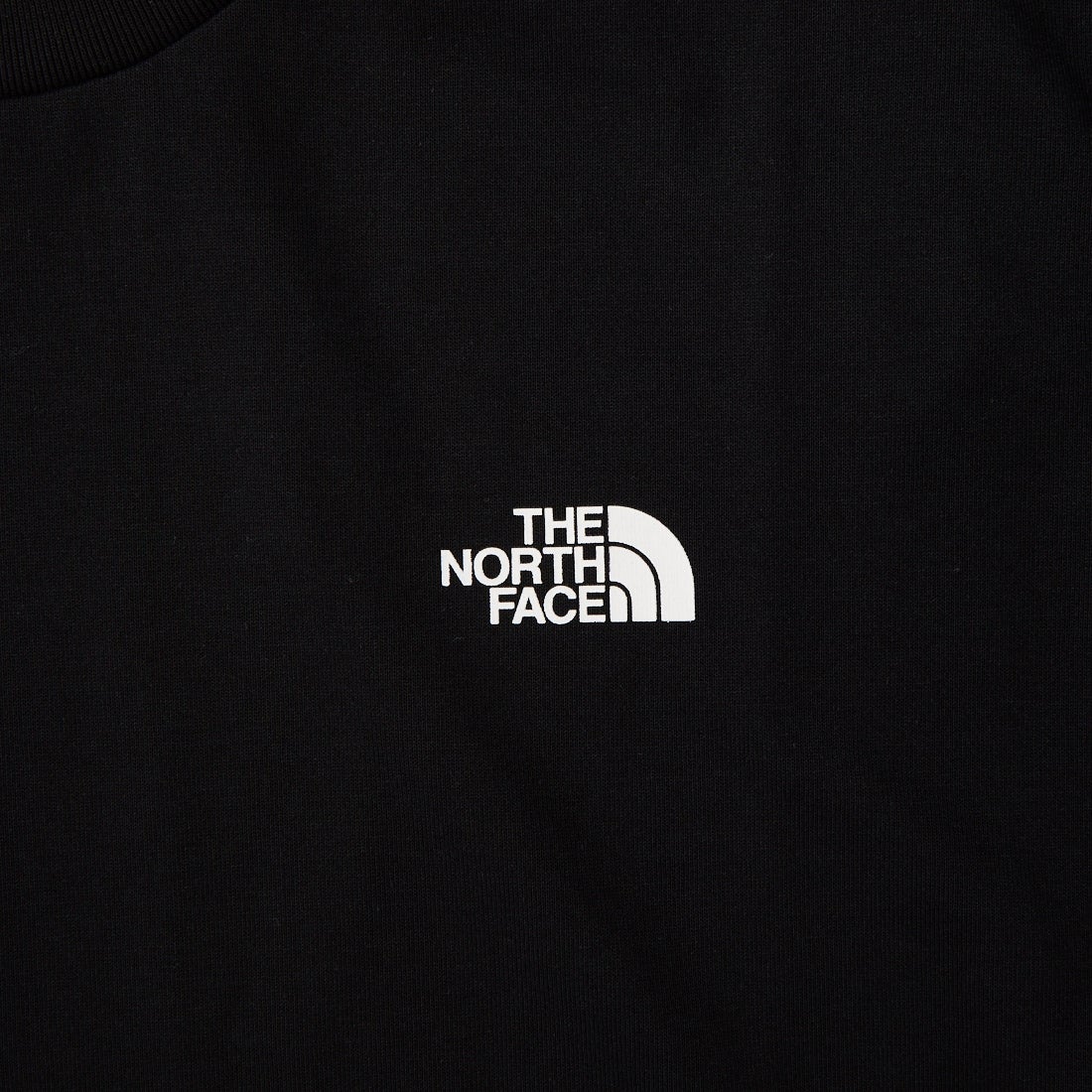 THE NORTH FACE [ザ ノースフェイス] ベースキャンプダッフル グラフィックTシャツ [NT32647] K