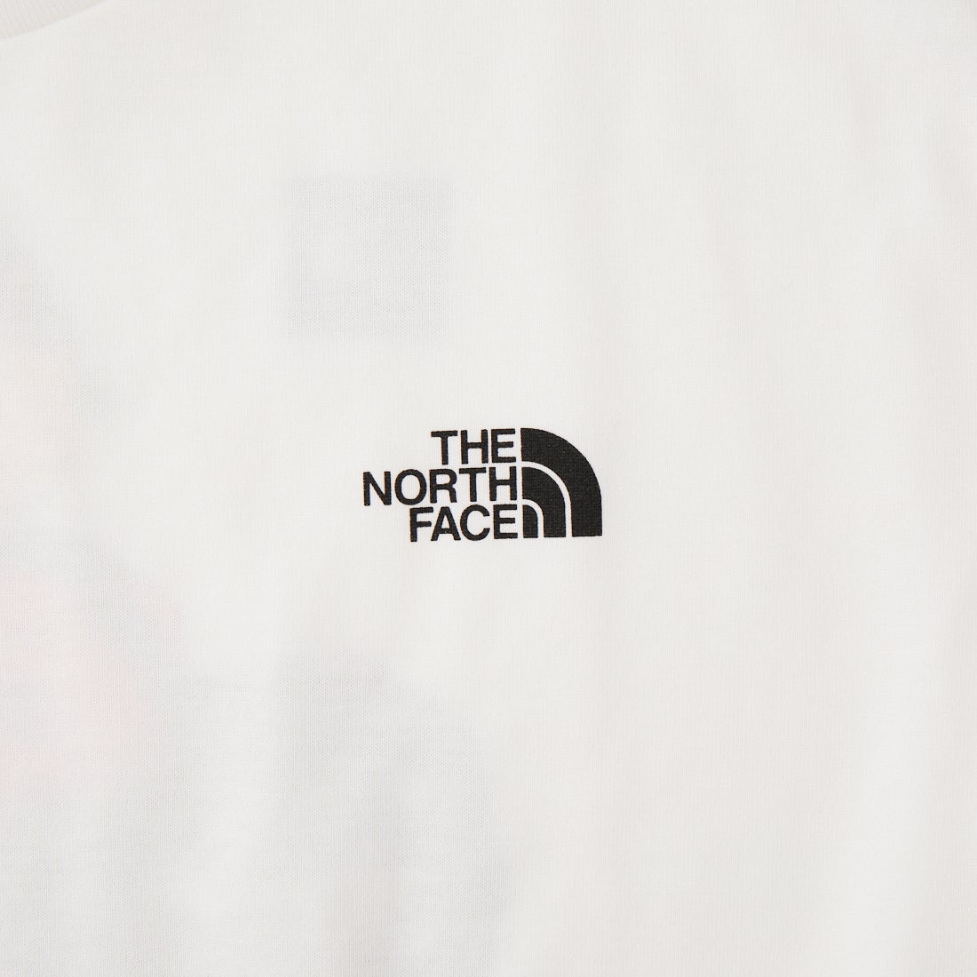 THE NORTH FACE [ザ ノースフェイス] ベースキャンプダッフル グラフィックTシャツ [NT32647] W