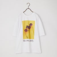OFF/YELLOW