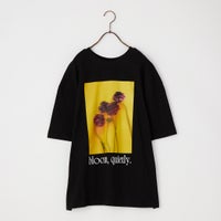 BLACK/YELL