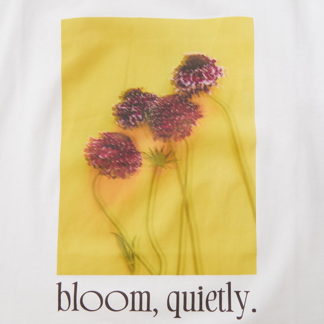 WHYTO. [ホワイト] 2WAYプリントTシャツ [WHT26HCS4015] OFF/YELLOW