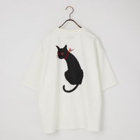 OFF ﾈｺ