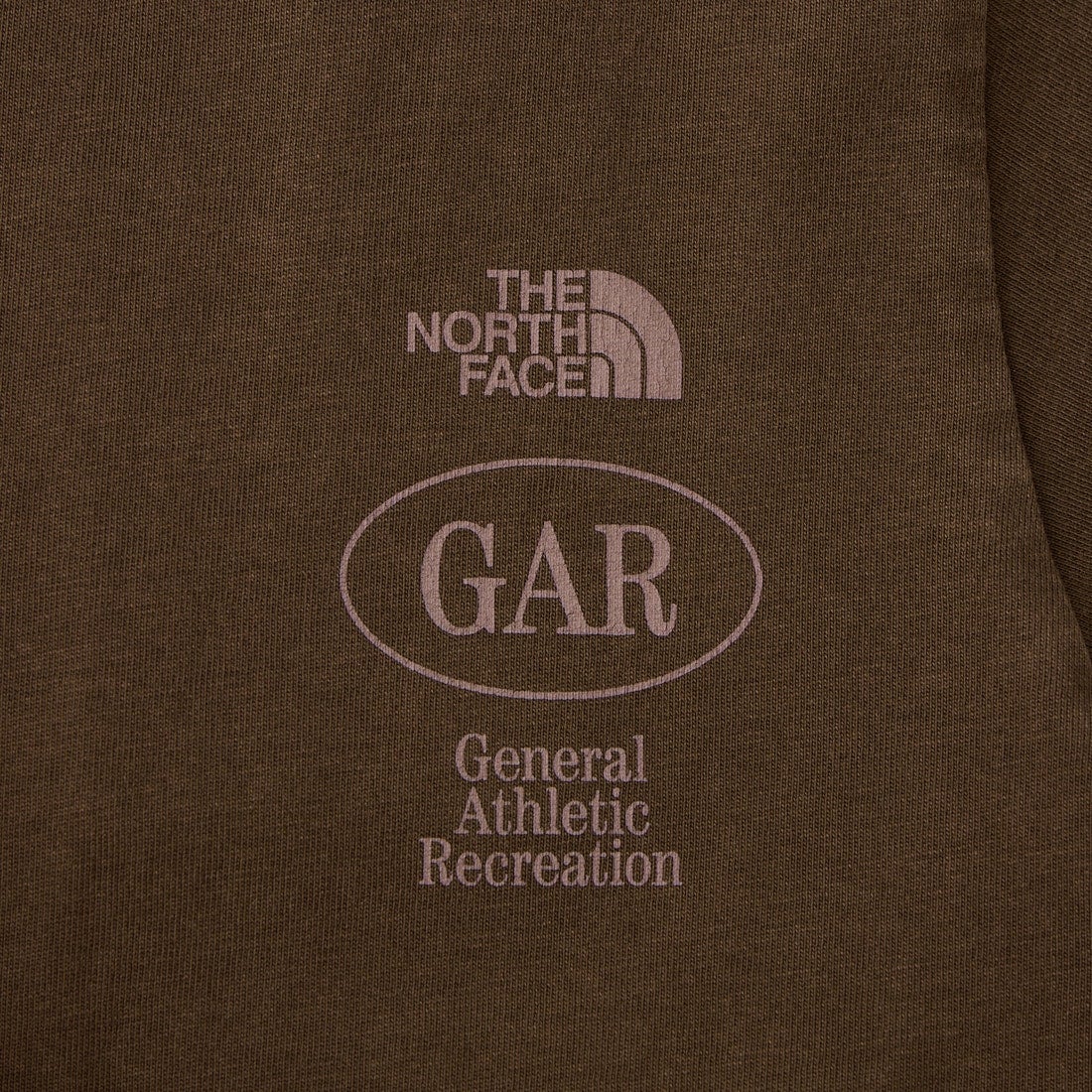 THE NORTH FACE [ザ ノースフェイス] GARスモーラー タイポグラフィックショートスリーブTシャツ [NT32667] SR