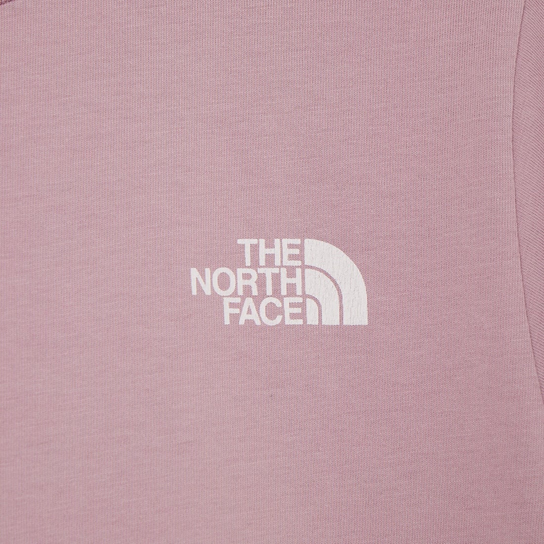 THE NORTH FACE [ザ ノースフェイス] GAR タイポグラフィックカラードショートスリーブTシャツ [NT32668] SF