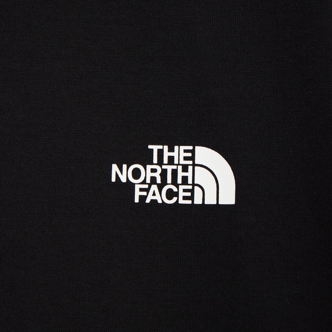 THE NORTH FACE [ザ ノースフェイス] ショートスリーブ ジャーニーヒストリーTシャツ [NT32643] K
