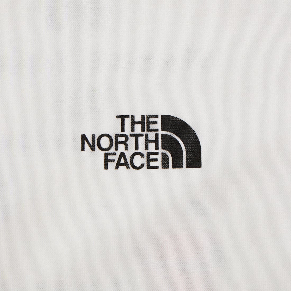 THE NORTH FACE [ザ ノースフェイス] ショートスリーブ ジャーニーヒストリーTシャツ [NT32643] W