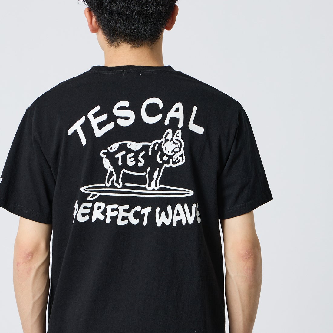The Endless Summer [エンドレスサマー] 別注 手描き風 バックプリントTシャツ [FH-26574506-JF] BLACK &&モデル身長：168cm 着用サイズ：M&&