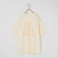 01 IVORY