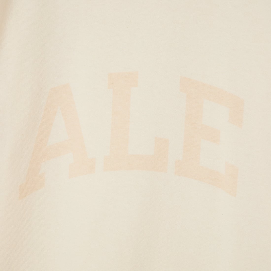 blurhms ROOTSTOCK [ブラームス ルーツストック] ALE-Y 88/12スタンダードプリントTシャツ [BROOTS25S35S26A] 01 IVORY
