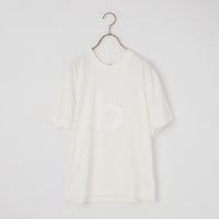 01 WHT/WHT