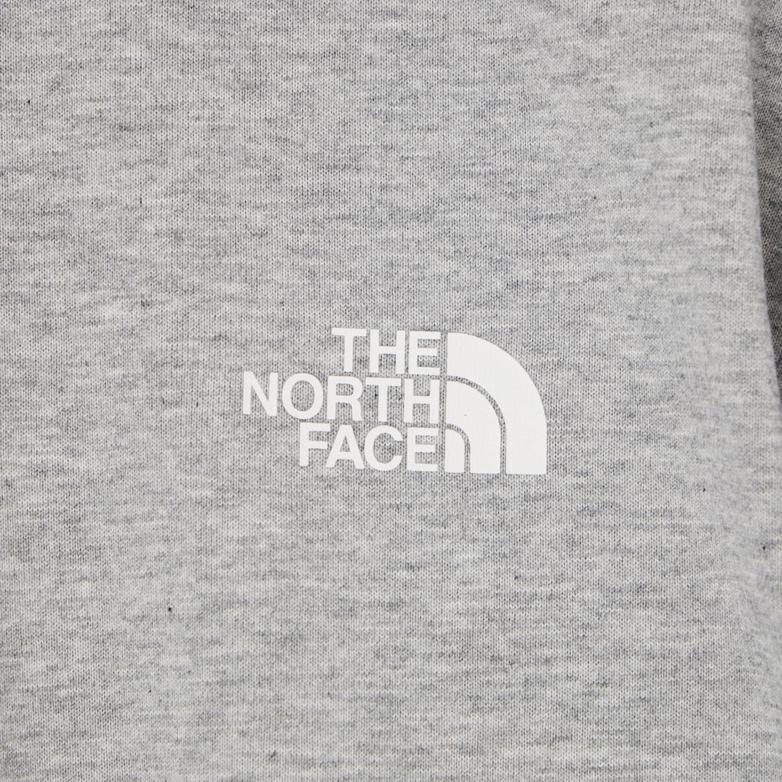 THE NORTH FACE [ザ ノースフェイス] ショートスリーブ バンダナスクエアロゴTシャツ [NT32446] ZZ