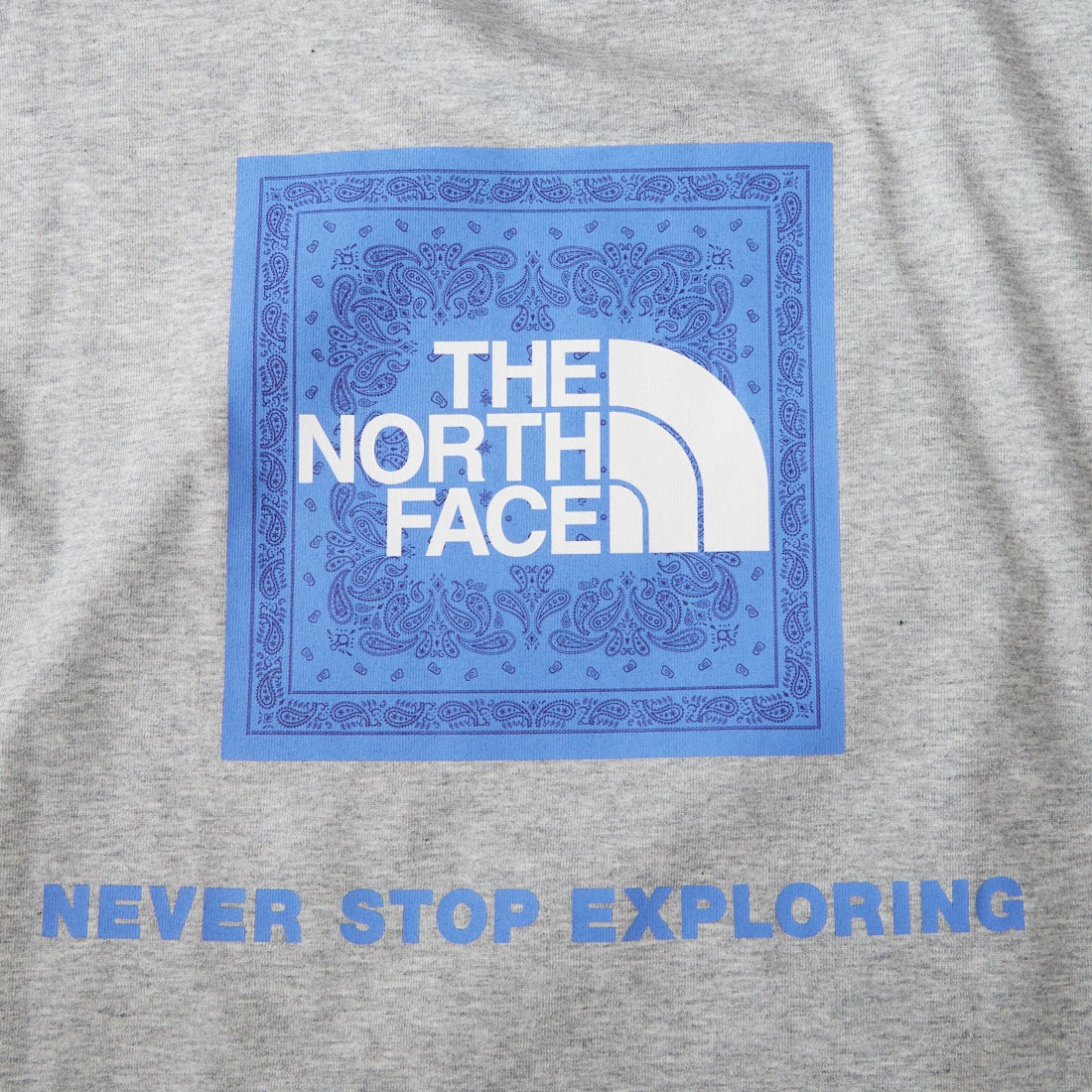 THE NORTH FACE [ザ ノースフェイス] ショートスリーブ バンダナスクエアロゴTシャツ [NT32446] ZZ