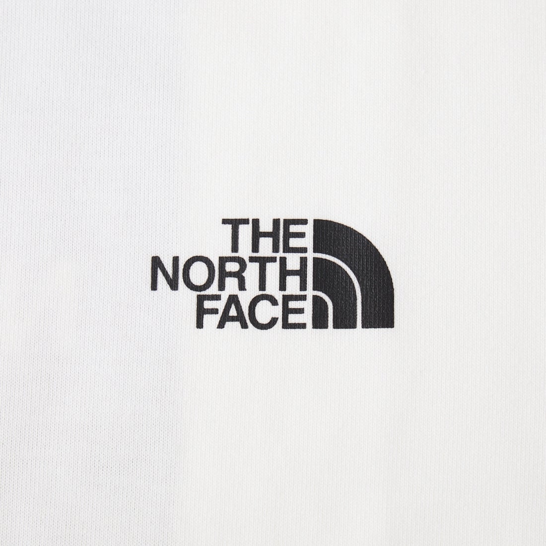THE NORTH FACE [ザ ノースフェイス] ショートスリーブ バンダナスクエアロゴTシャツ [NT32446] W2